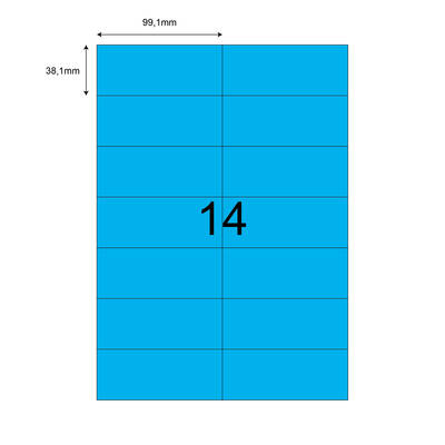 99,1mm x 38,1mm Mavi Lazer Etiket - 1